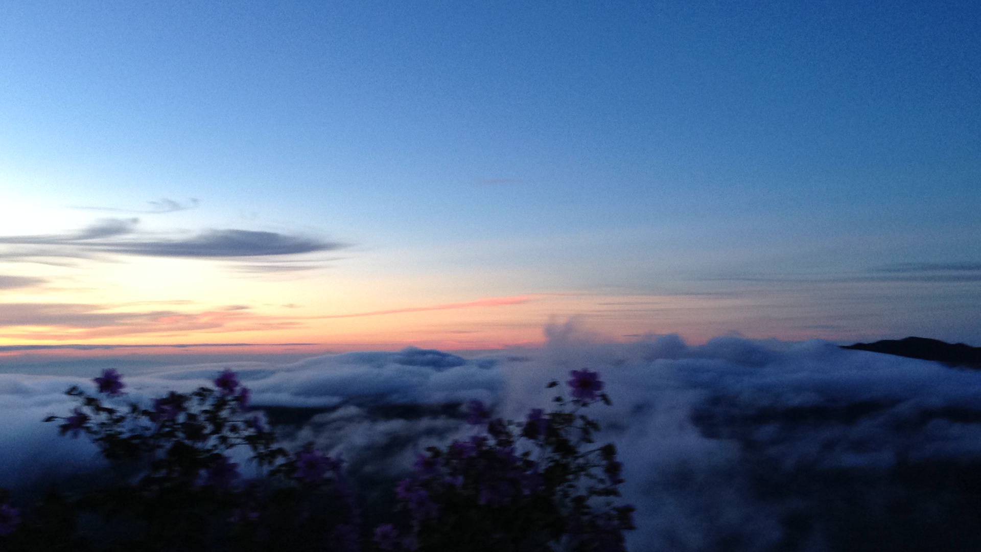 Above the clouds mount bromo